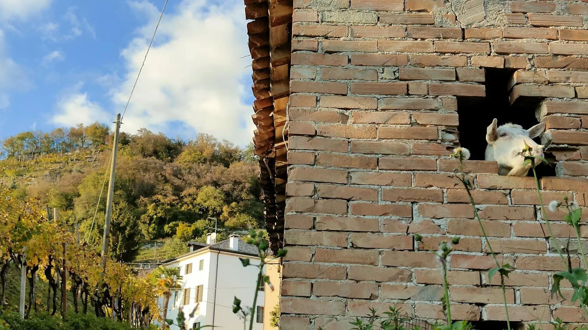 Ca Del Parco Apartamento Montebelluna